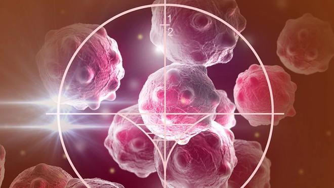 beat365-小细胞肺癌全身转移！放化疗+中药双管齐下病灶